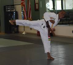 Image result for Rising Sun Judo Club