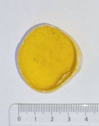 Attēlu rezultāti vaicājumam “Sowerbyella radiculata”