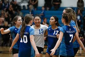 Image result for Westminster Warriors Basketball Club