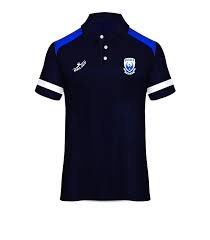 Image result for Sussex Swans