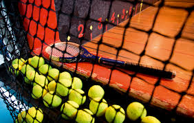 Image result for Hatfield House Tennis Club