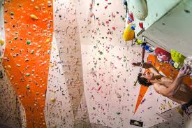 Image result for High Sports Climbing Wall