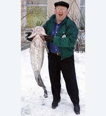 Image result for Lota lota