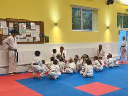 Image result for Backwell Karate