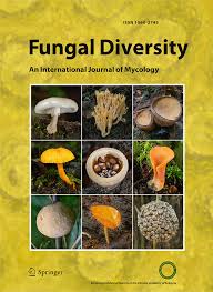 Attēlu rezultāti vaicājumam “fungi”