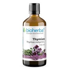 Image result for Thymian