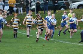 Image result for Drighlington Rugby League Football Club