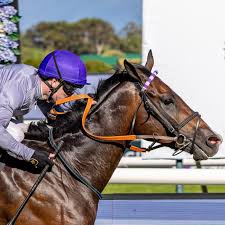 Image result for Snaith Stormers