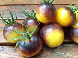 Afbeeldingsresultaat voor blushing yellow tomato