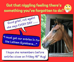 Image result for Fife Riding Club