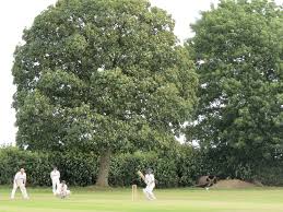 Image result for Caddington Cricket Club