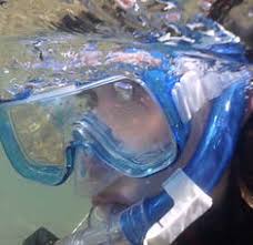 Image result for Woking Junior Snorkelling Club