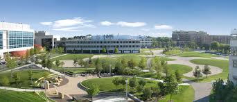 Image result for fnwi science park