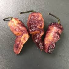 Afbeeldingsresultaat voor biker billy jalapeno hot pepper