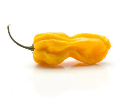 Afbeeldingsresultaat voor mme jeanette hot pepper