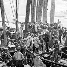 Image result for Slough Octopush Club