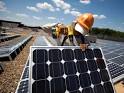 Adults Looking For Green Jobs | The Vivid Edge