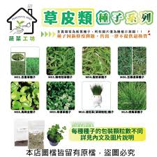 「扭蘭」的圖片搜尋結果