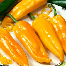 Afbeeldingsresultaat voor topepo giallo sweet pepper