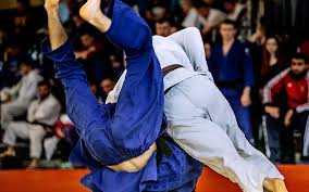 Image result for Carmarthen Judo Club