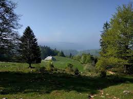 Image result for vallorbe tehron