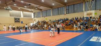 Image result for Halewood Inclusive Judo Club