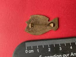 Image result for SHIRLEY SEA ANGLING CLUB