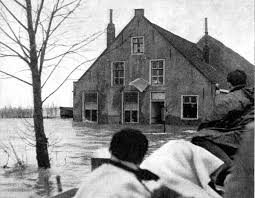 Image result for zeeland 1953