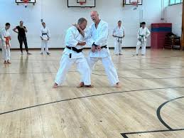 Image result for Haslemere Karate Club