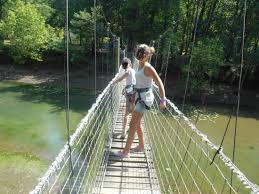 Image result for PONT DE SINGE