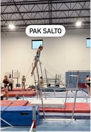 Image result for Charisma Gymnastics Club