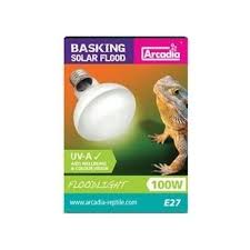 Risultati immagini per arcadia basking solar flood