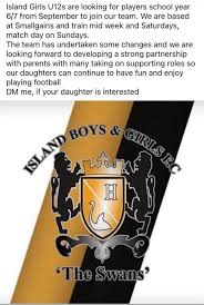 Image result for Rayleigh boys under 7's Leopards- need a Goalie!