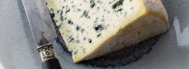 Image result for bleu d'auvergne