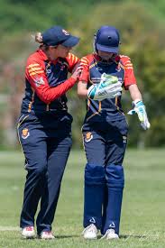 Image result for Odiham & Greywell Cricket Club