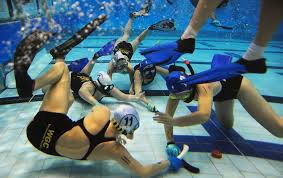 Image result for Dublin Underwater Hockey Team