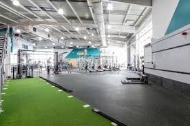 Image result for David Lloyd Solihull Cranmore