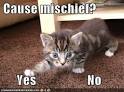 Mischief - Rabbit Hole