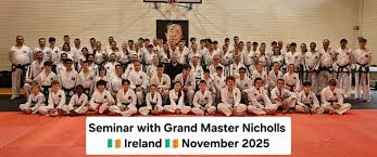 Image result for English International Allstyles Taekwon-Do