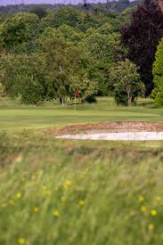 Image result for Tilsworth Golf Club