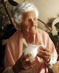 Image result for eva zeisel