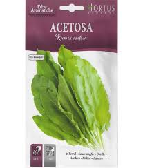 Attēlu rezultāti vaicājumam “Rumex acetosa fruit”