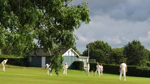 Image result for Ewhurst Cricket Club