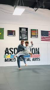 Image result for Cumming Martial Arts Center