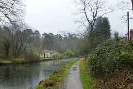 Image result for Surrey Heath Slammers