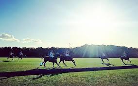 Image result for Kirtlington Park Polo Club
