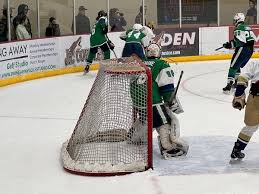 Image result for Ash Avalanche Skater Hockey Club