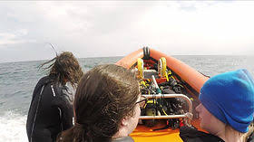 Image result for Woking Junior Snorkelling Club