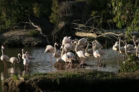Canada de los Pajaros