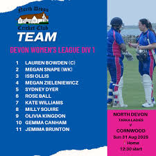 Image result for North Devon Cricket Club